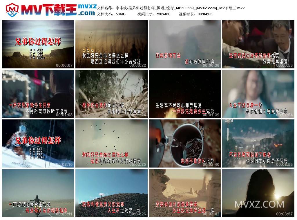 李志波-兄弟你过得怎样_国语_流行_ME500889
